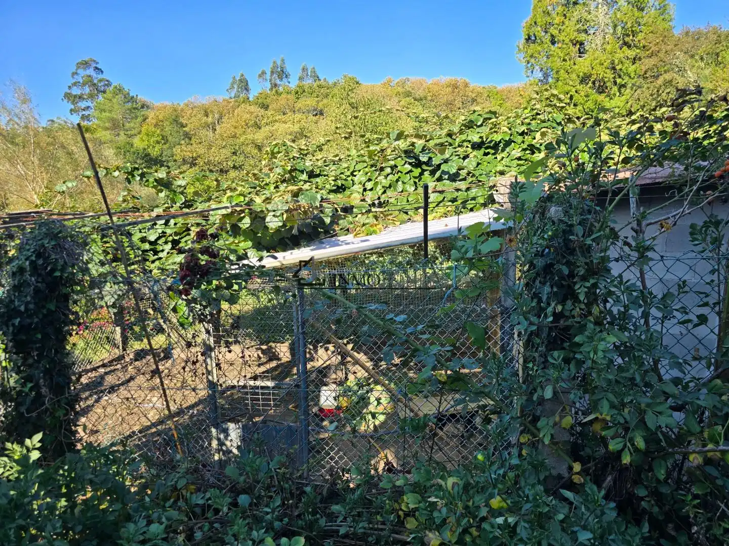 Casa con terrazza in vendita a Cuntis, imagen 71