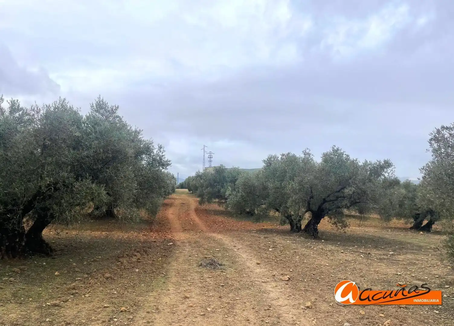 Terrenos y solares en venta en Alameda, imagen 32