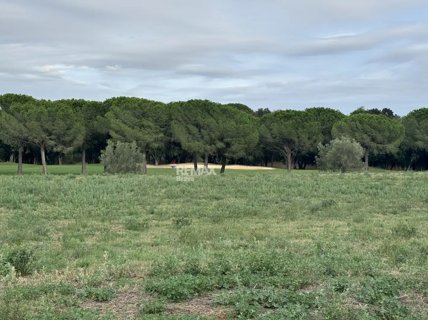Lands and plots for sale in Calle CL FELIP L ARDIT, imagen 13