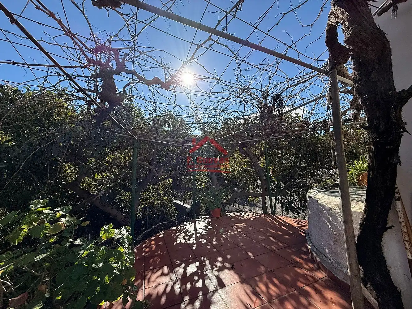 Jardí de Finca rústica en venda en Vélez-Málaga amb Terrassa i Piscina