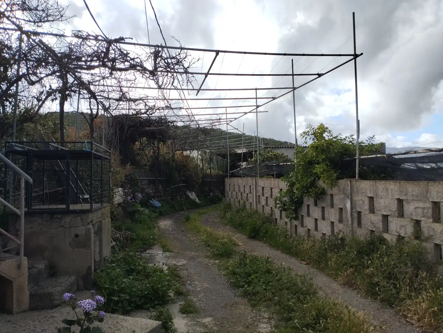 Residential land for sale in Valle de los Nueve - El Ejido - Medianías, imagen 14