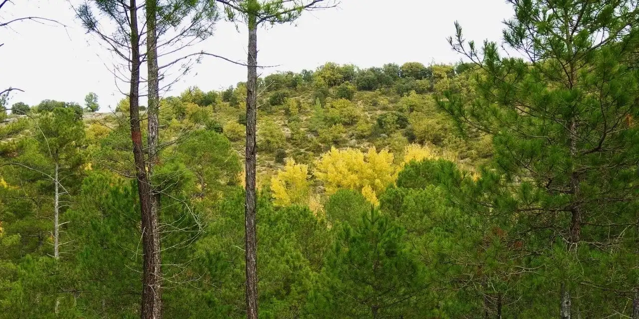 Finca rústica en venda en Villar de Olalla