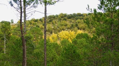 Foto 2 de Finca rústica en venda a Villar de Olalla, Cuenca