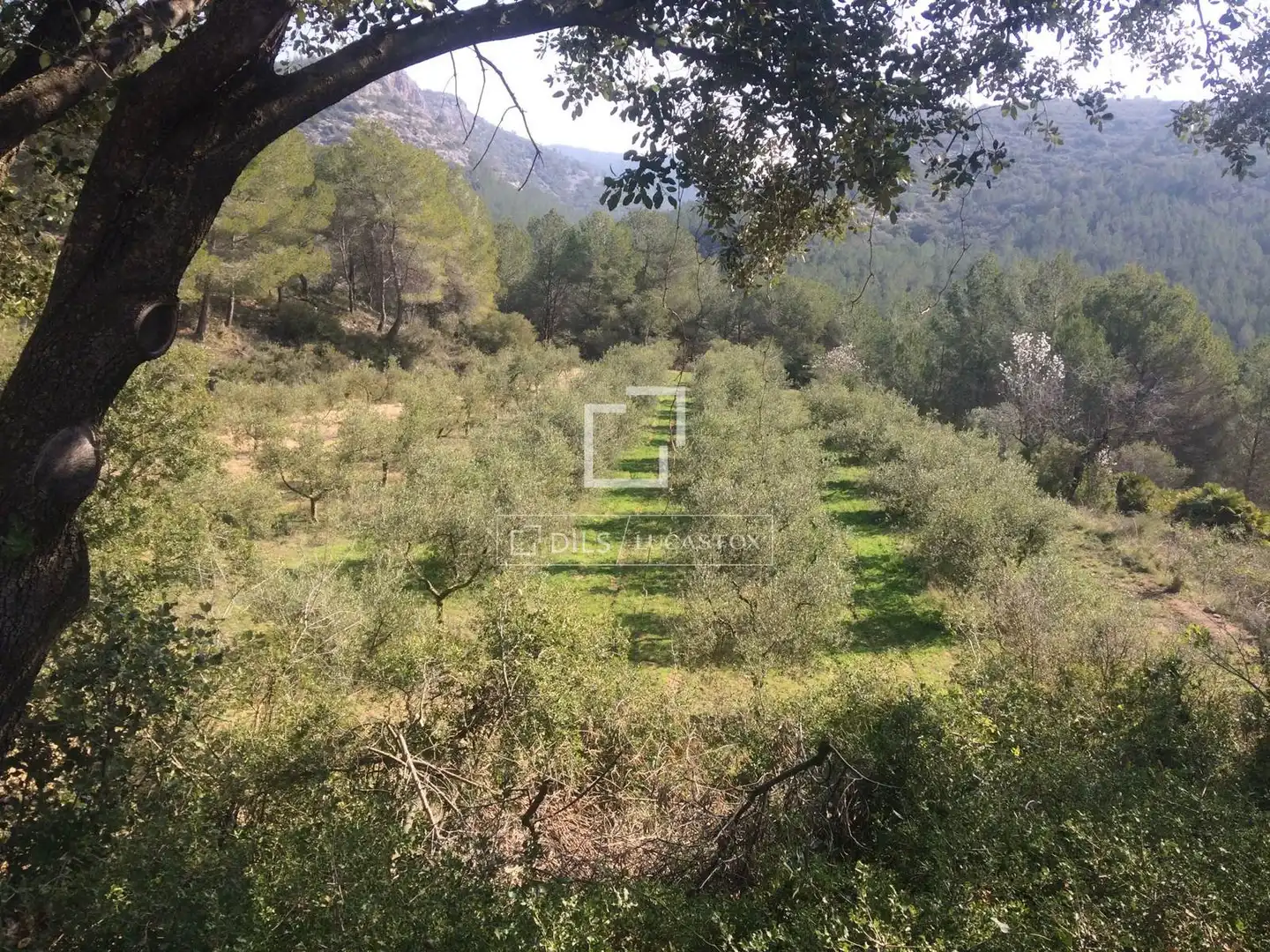 Casa rustica in vendita a Castellet i la Gornal, imagen 7