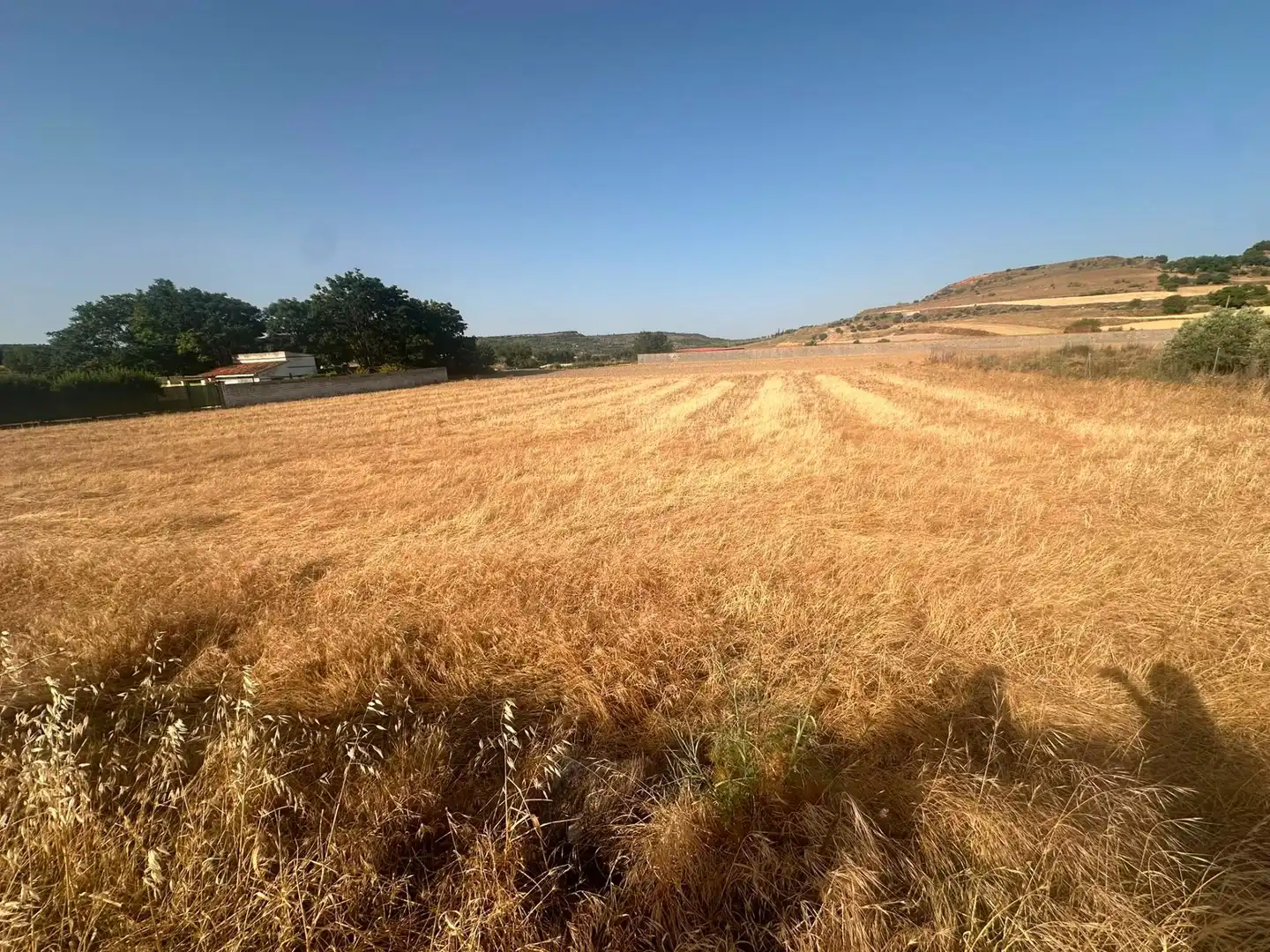 Terreno rustico in vendita a Chinchón, imagen 5