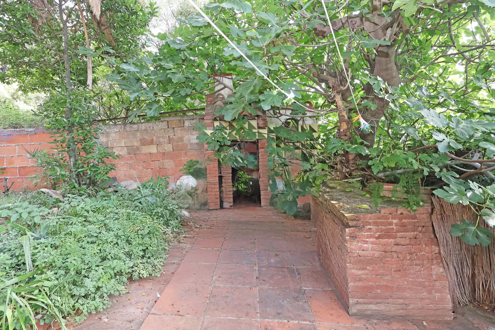 Jardí de Casa o xalet en venda en Esplugues de Llobregat amb Terrassa, Traster i Balcó