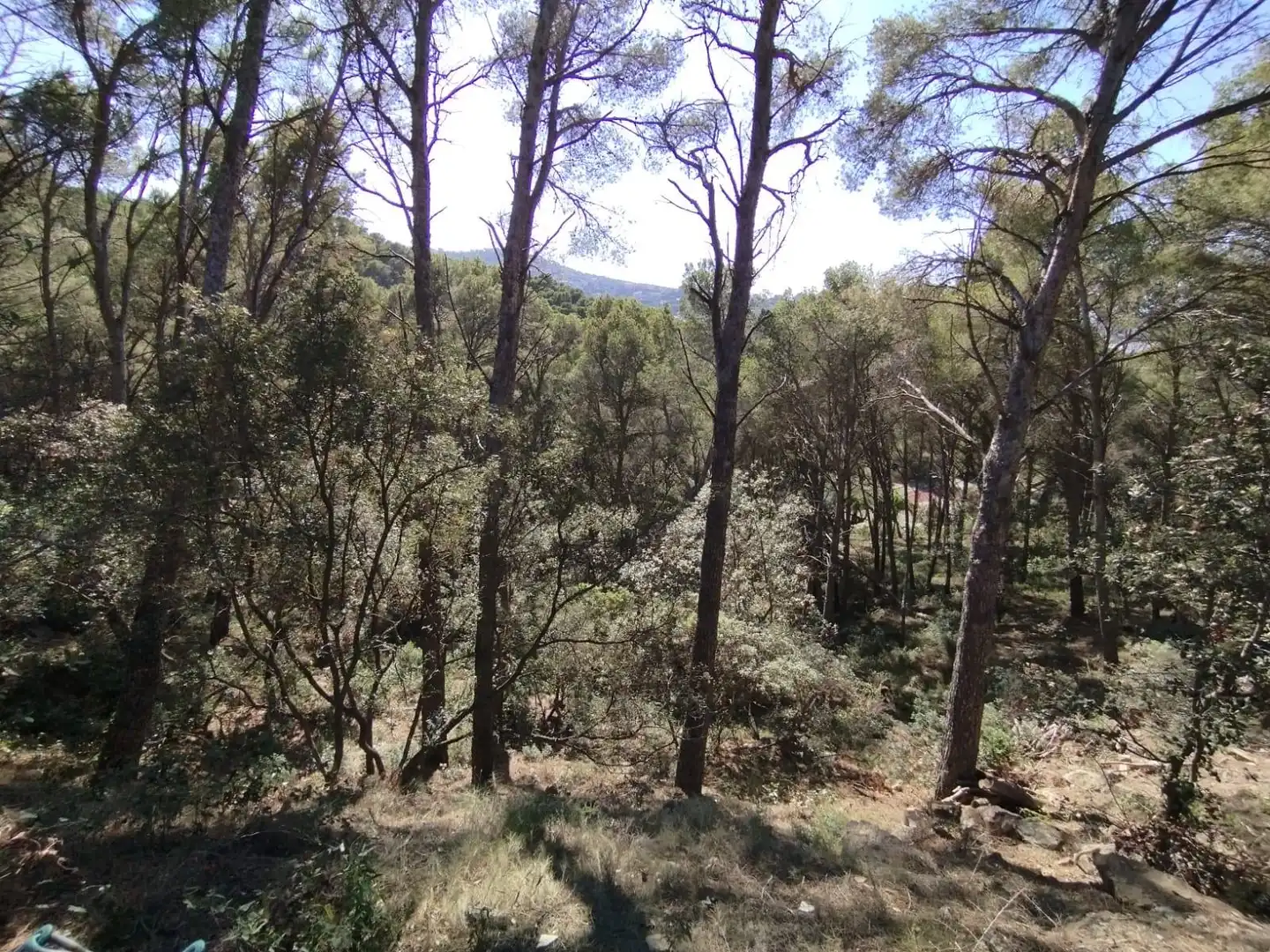 Residencial en venta en Begur