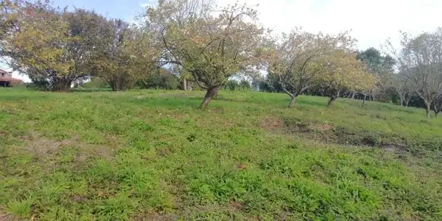 Terreny residencial en venda a Las Regueras, imagen 15