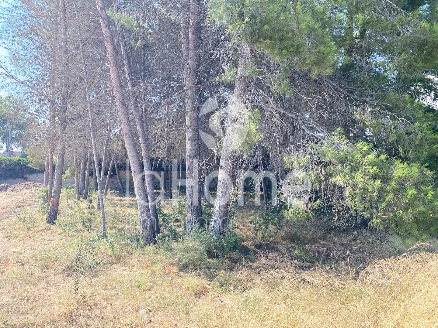 Terreny residencial en venda a La Cañada, imagen 6