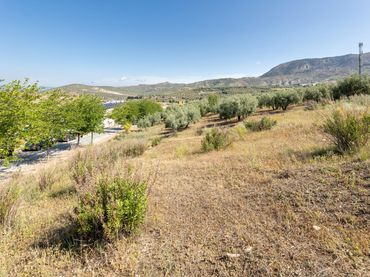 Terreny residencial en venda a Alfacar