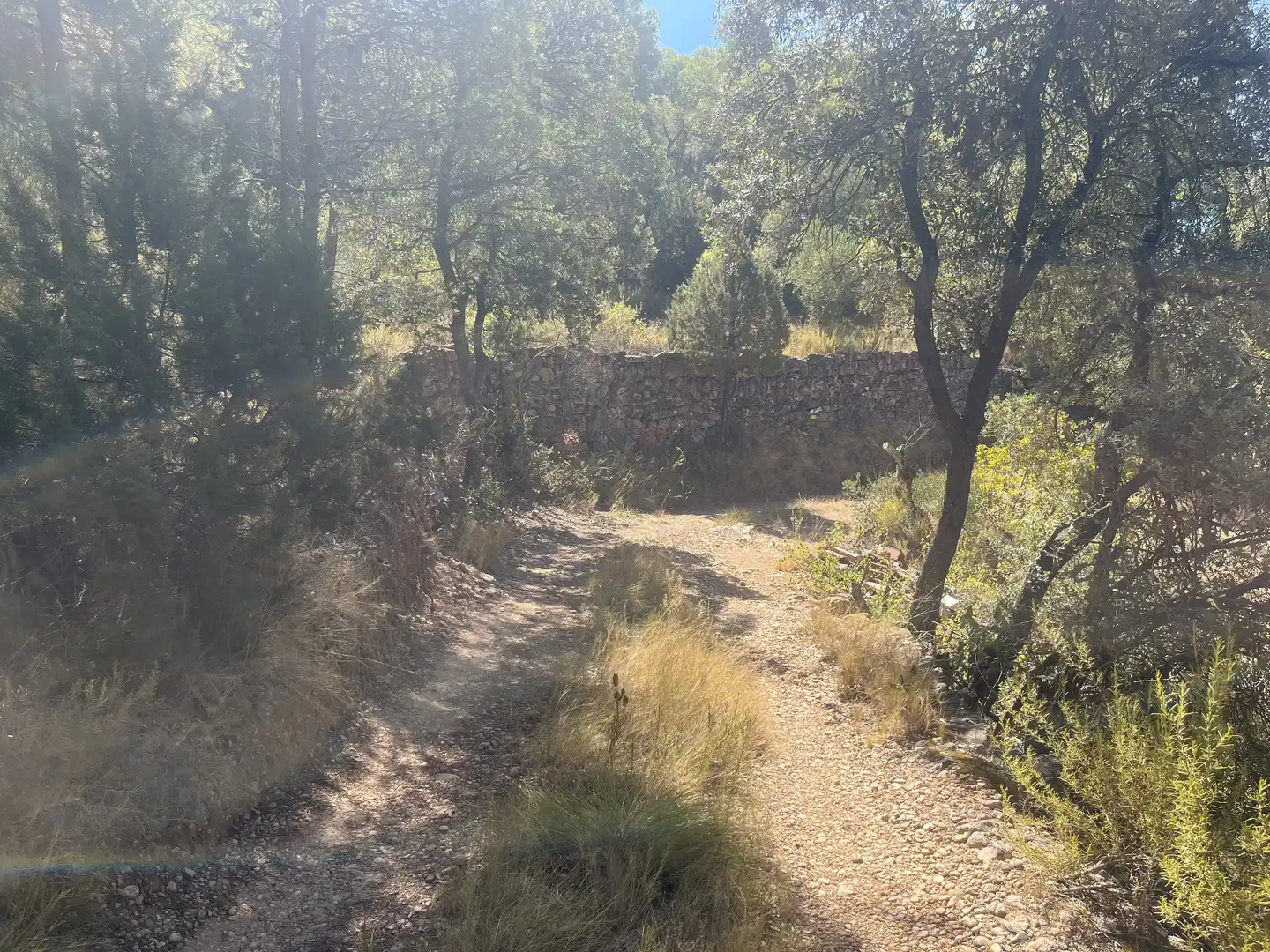 Finca rústica en venta en La Pobla de Cérvoles, Lleida