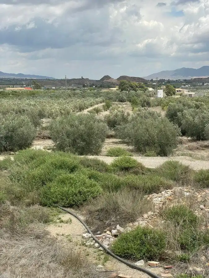 Terrenys i solars en venda a Huércal-Overa, imagen 2