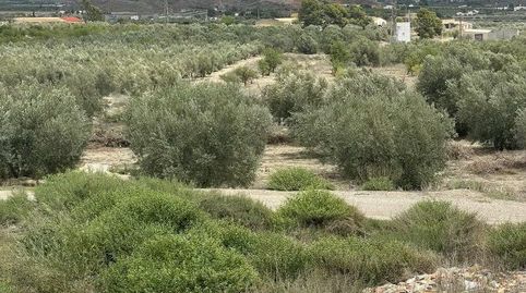 Terreno Rústico en venta en HuércalOvera., immagine 2