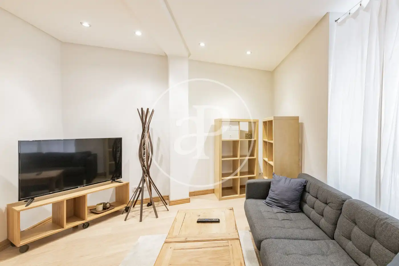 Sala de estar de Piso de alquiler en  Madrid Capital con Calefacción y Amueblado