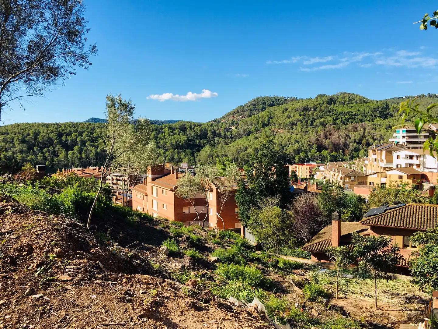 Exterior view of Residential for sale in La Palma de Cervelló