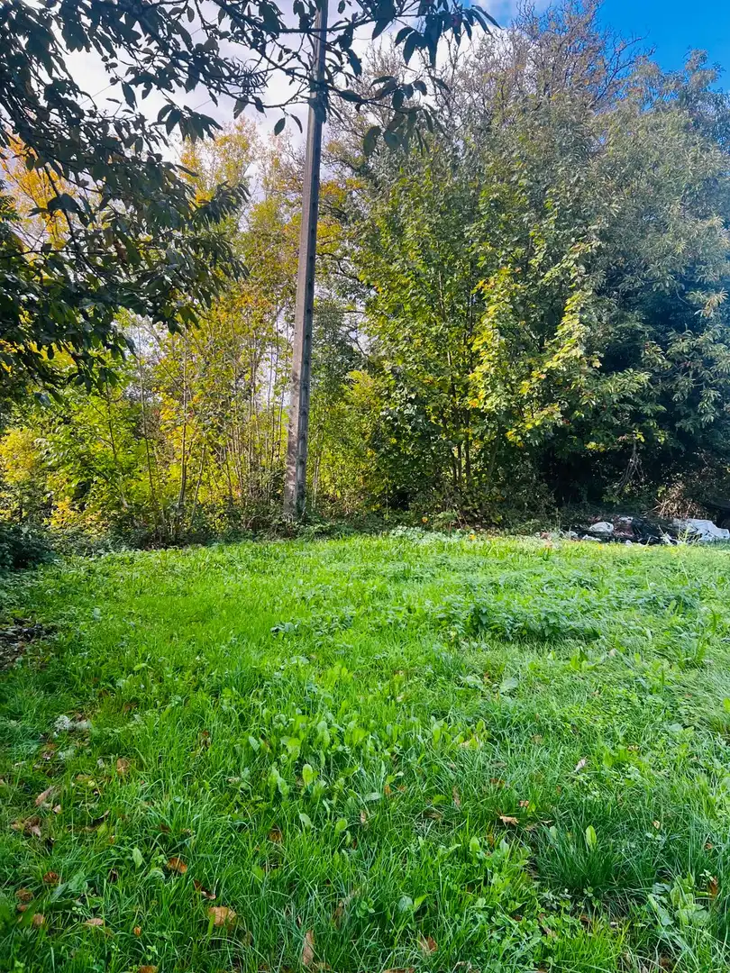 Finca rústica en venta en O Incio , Lugo