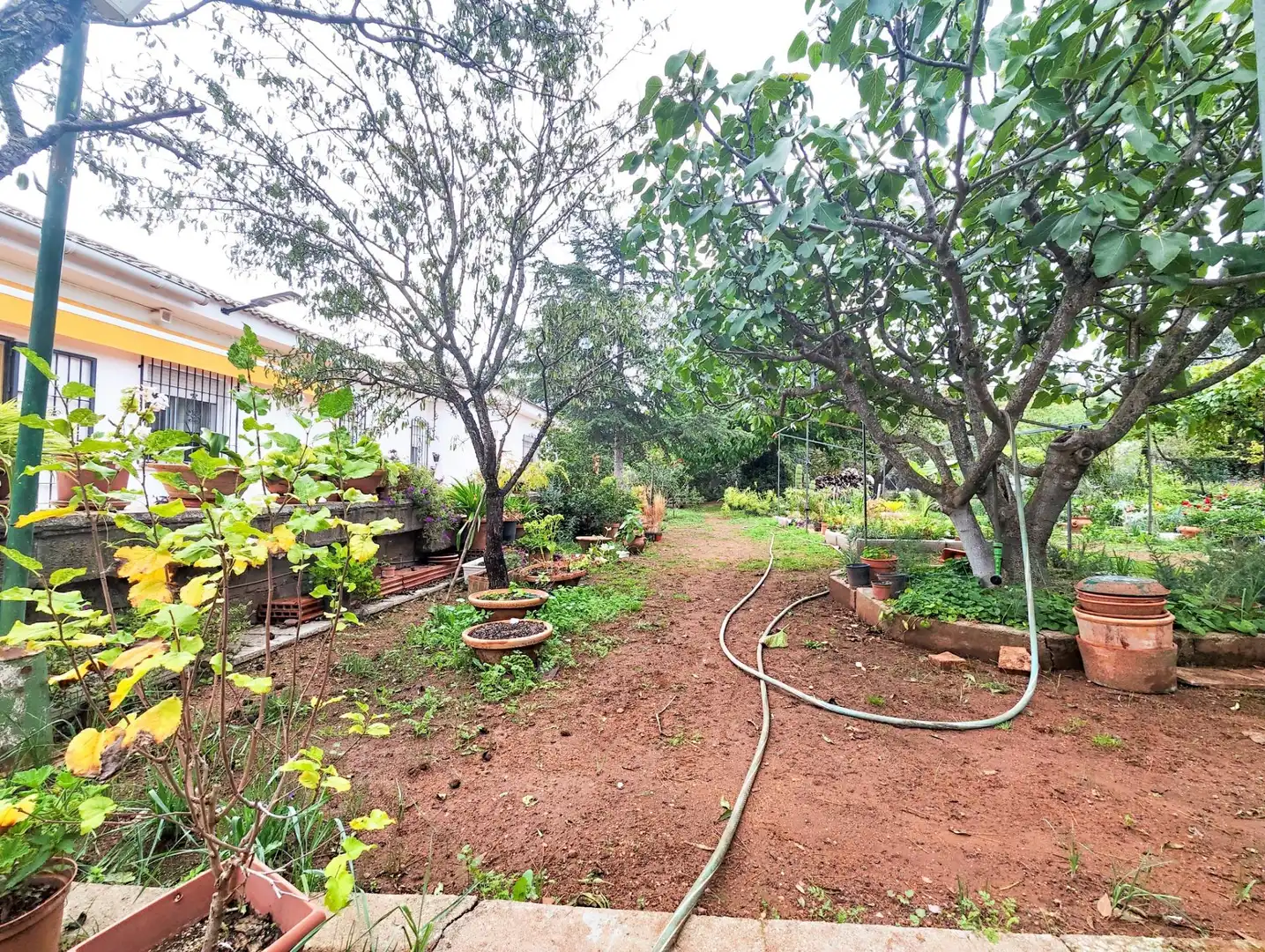 Casa o chalet en venta en Puertollano con Aire acondicionado, Calefacción y Jardín privado