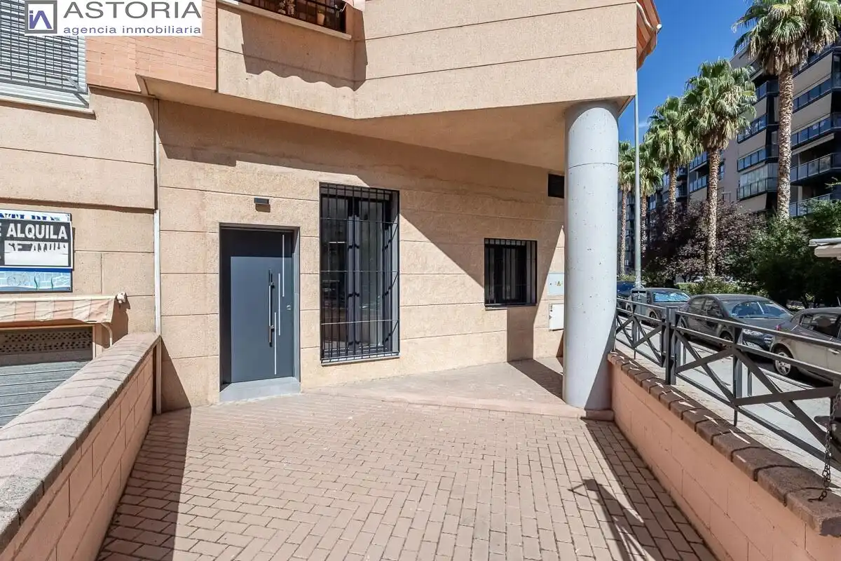 Baixos amb piscina en venda a Calle PDTA RAFAEL GAGO PALOMO 9, imagen 4