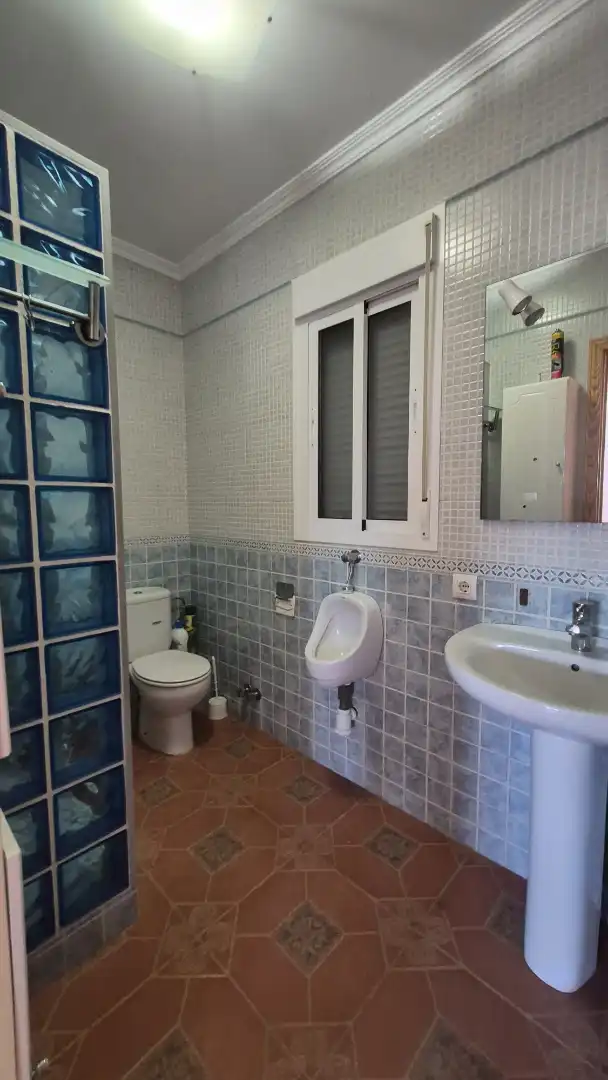 Bany de Finca rústica en venda en Los Barrios amb Jardí privat, Terrassa i Piscina