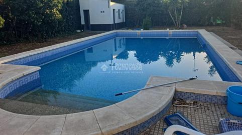 Foto 4 de Finca rústica en venda a Marchena, Sevilla