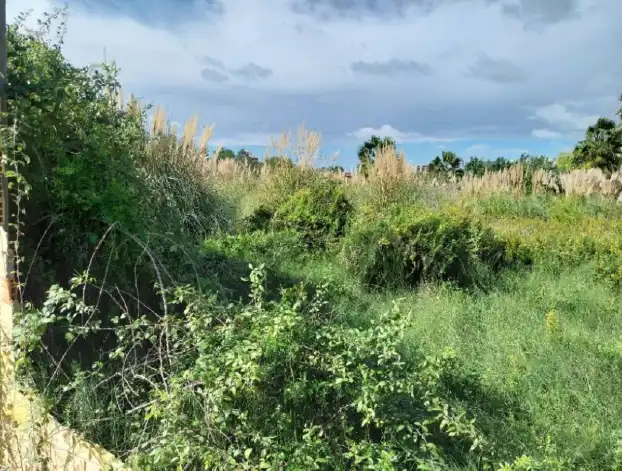 Rural land for sale in Sueca ciudad, imagen 7