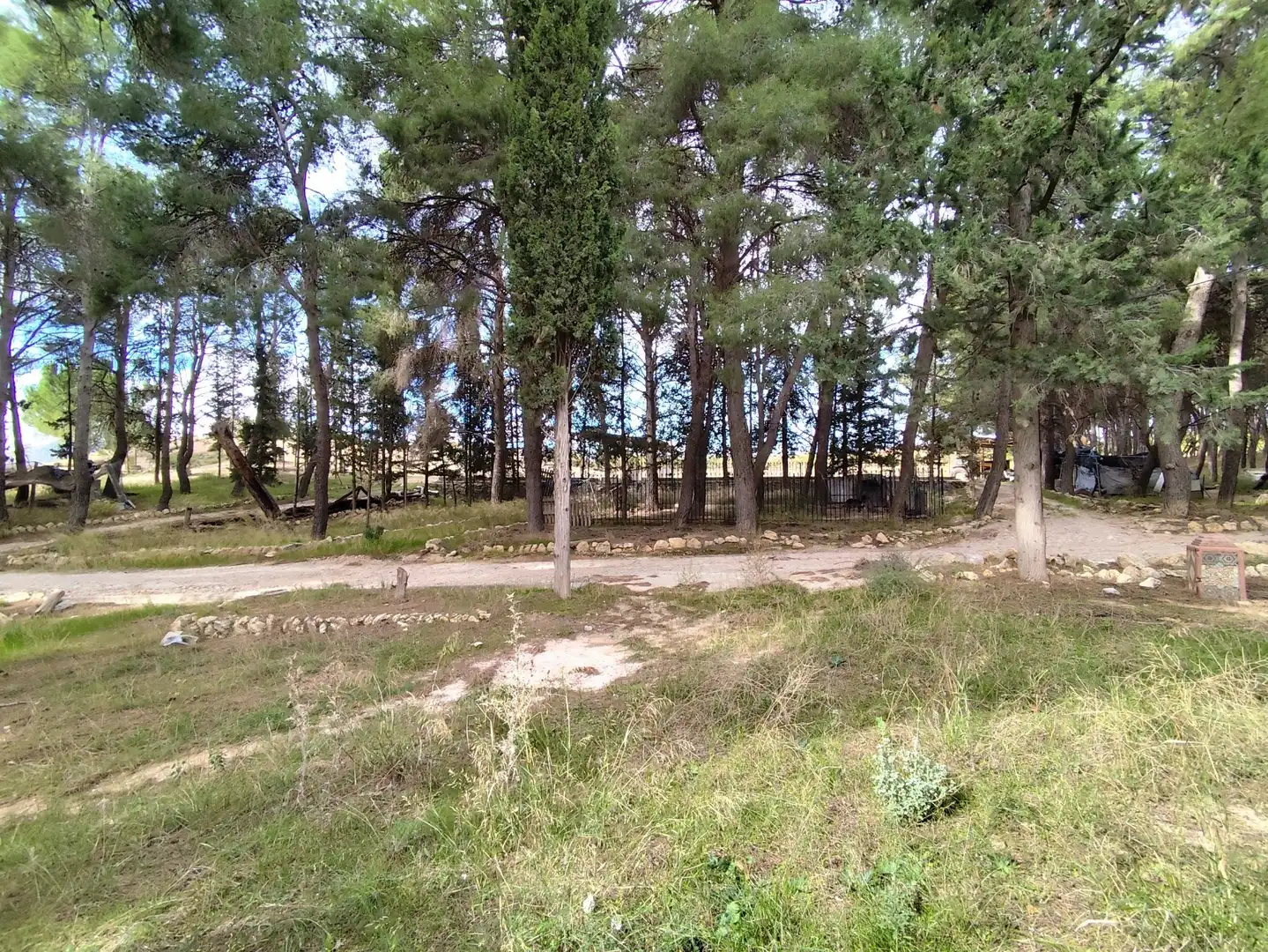 Einzigartige Immobilien zum Verkauf in Camino la Torre, imagen 50