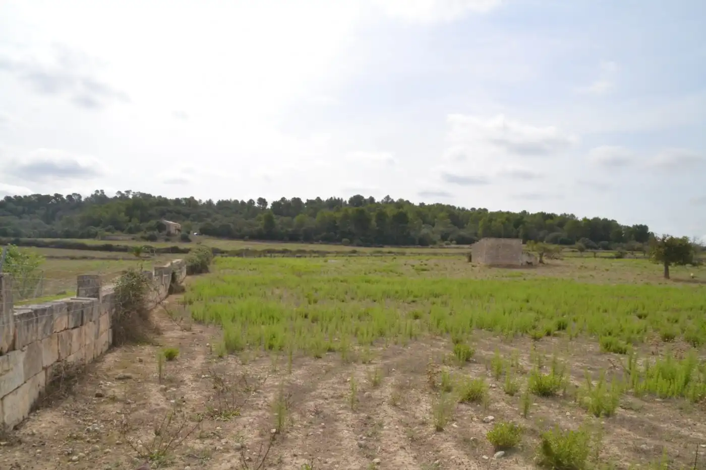 Finca rústica en venda a Sineu