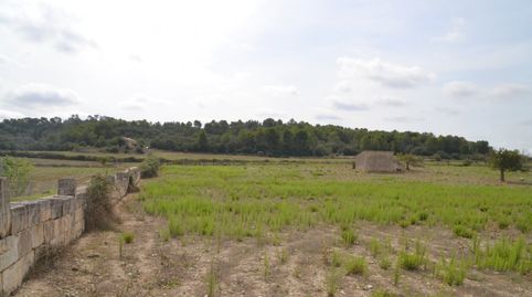 Foto 3 de Finca rústica en venta en Sineu, Illes Balears