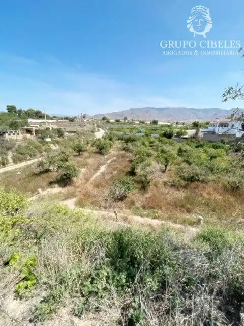 Finca rústica en venta en Pechina