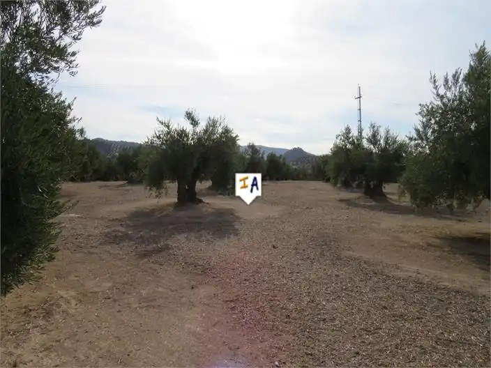 Terreni e lotti in vendita a Alcaudete, imagen 7