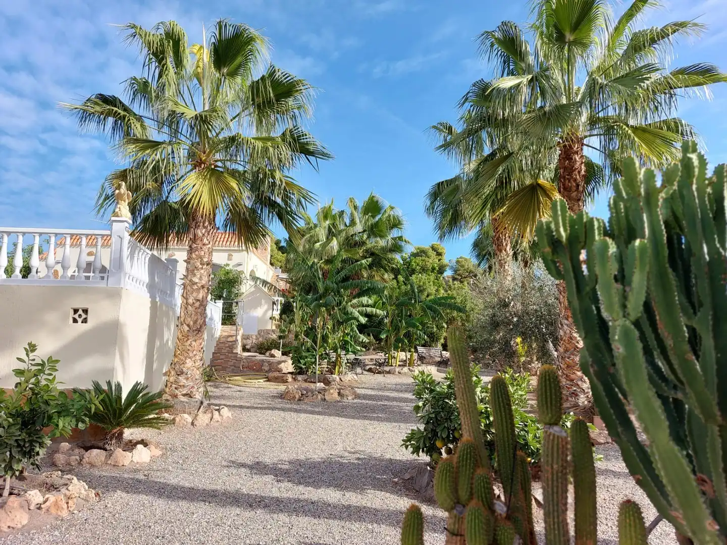 Casa rustica con piscina in vendita a Tébar - Los Arejos, imagen 56