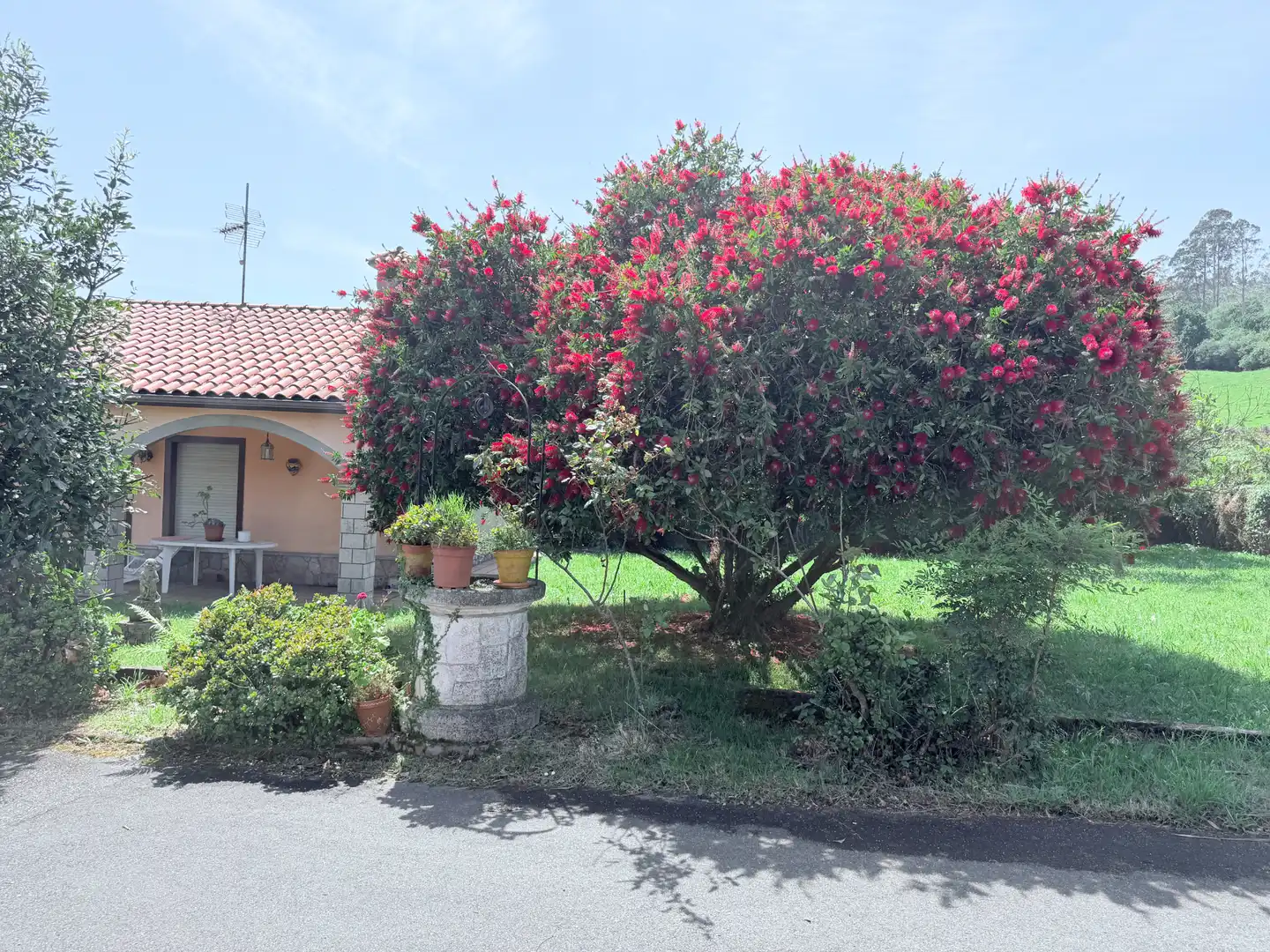 Jardín de Casa o chalet en venta en Villaviciosa con Calefacción, Jardín privado y Parquet