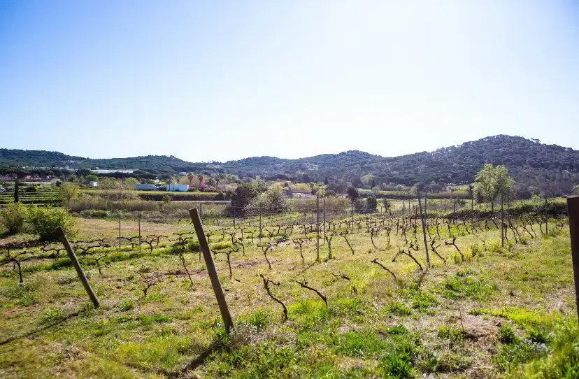 Finca rústica en venta en Tordera