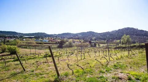 Foto 5 de Finca rústica en venta en Diseminado Veinat de Sant Daniel, 79, Mas Mora - Sant Daniel, Tordera