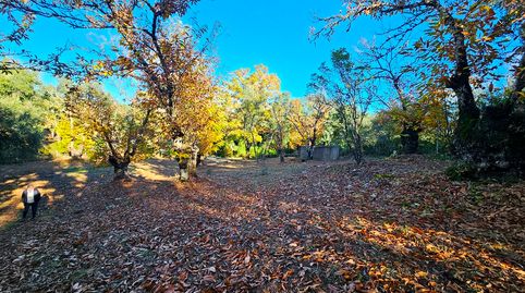 Foto 4 de Terreno en venta en Fuenteheridos, Huelva