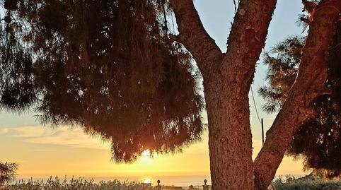 Foto 3 de Casa o xalet en venda a Paraje Cuesta de Gos, 38, Tébar - Los Arejos, Murcia
