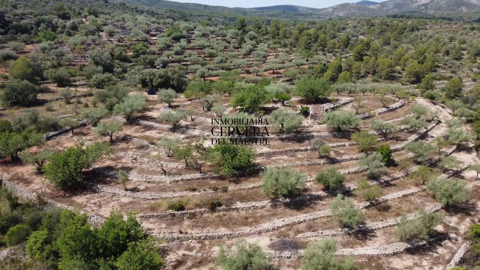 Terreno rustico in vendita a Cervera del Maestre, imagen 19