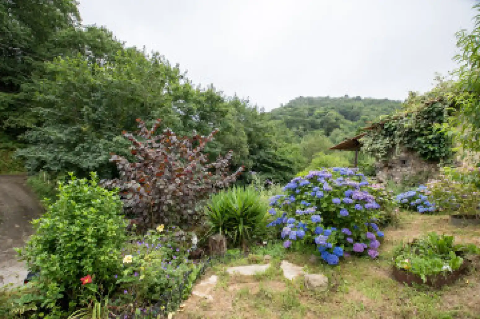 Jardín de Casa o chalet en venta en Cabranes con Calefacción, Jardín privado y Terraza