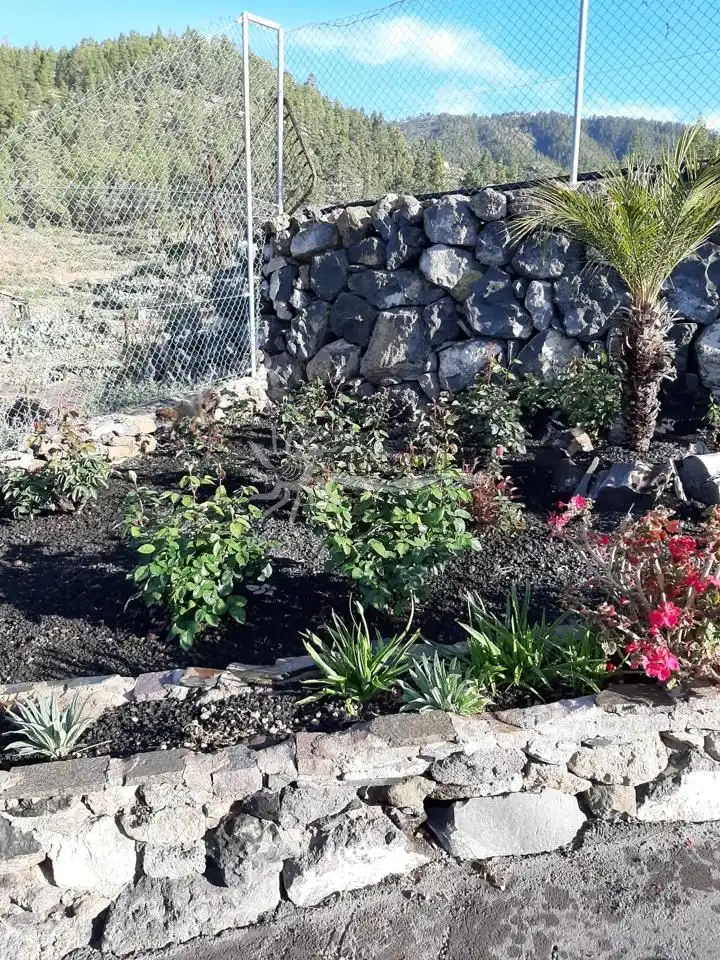 Jardí de Finca rústica en venda en Granadilla de Abona amb Jardí privat i Terrassa