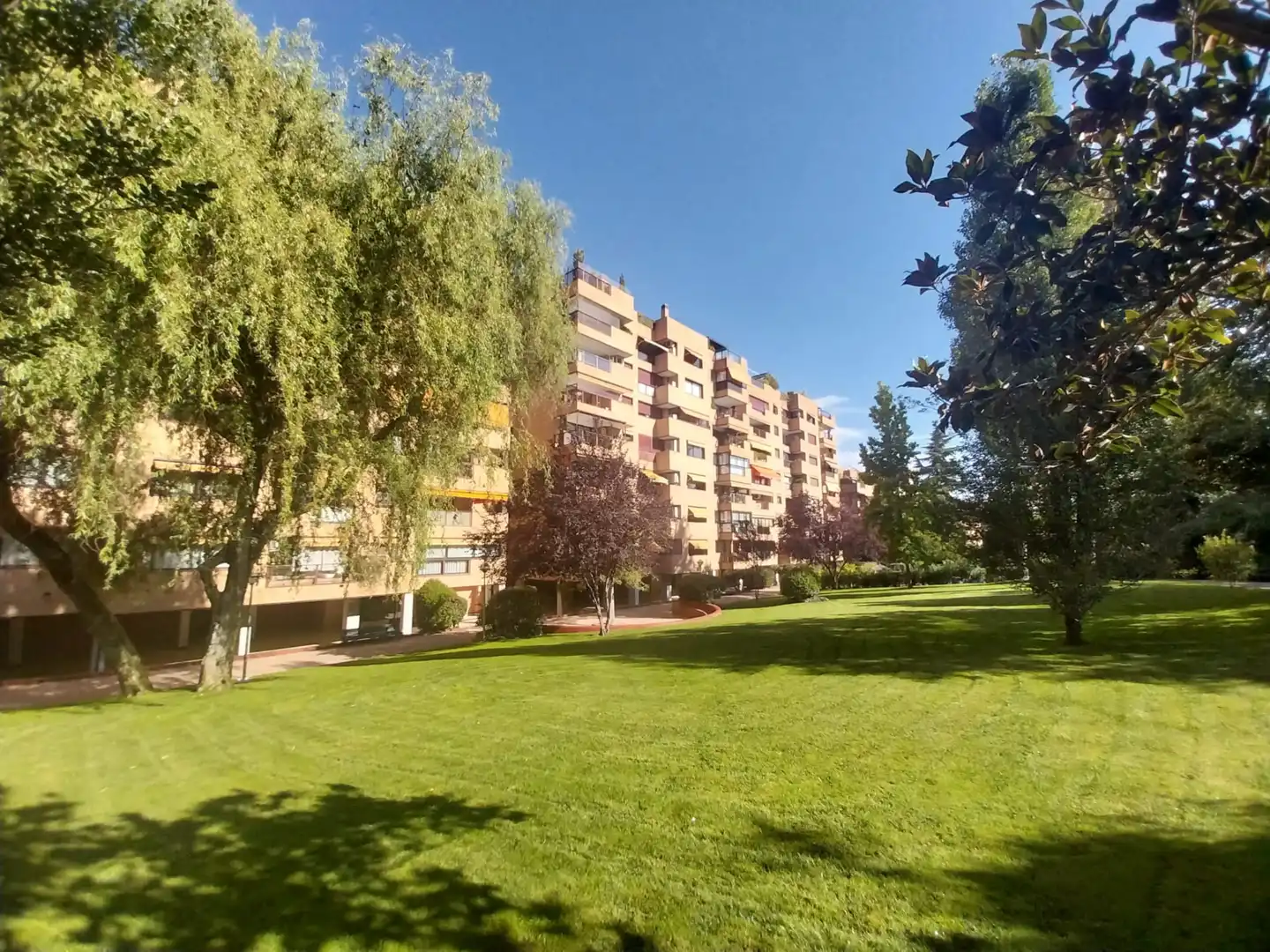 Piso con piscina en venta en Avenida de los Madroños, imagen 44