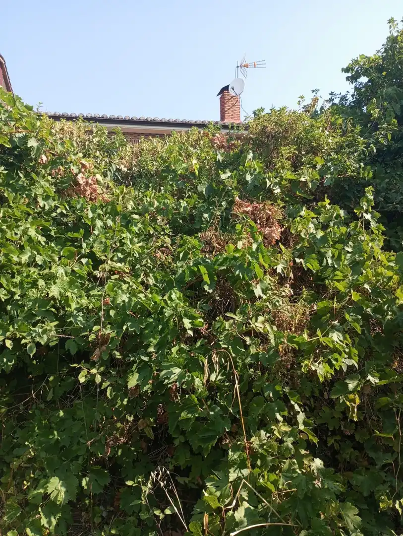 Terreni e lotti in vendita a poligono 3 parcela176, imagen 12