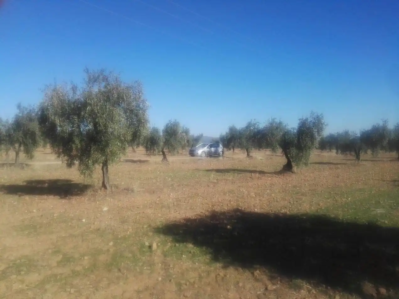 Terreni e lotti in vendita a Alange, imagen 18