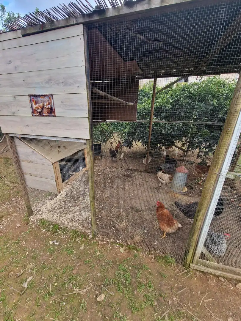 Casa o xalet en venda en Córdoba amb Aire condicionat, Calefacció i Jardí privat