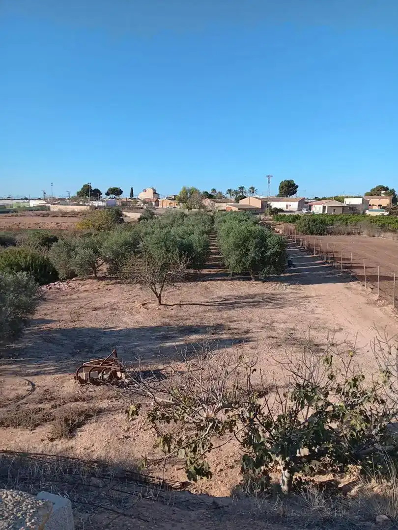 Finca rústica en venda en  Murcia Capital