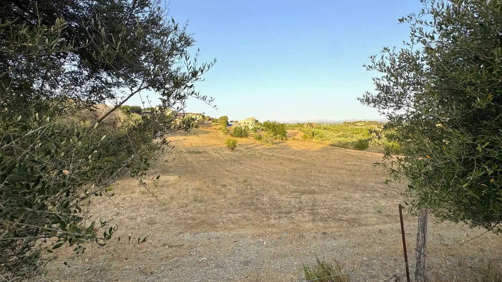 Residential for sale in Selva