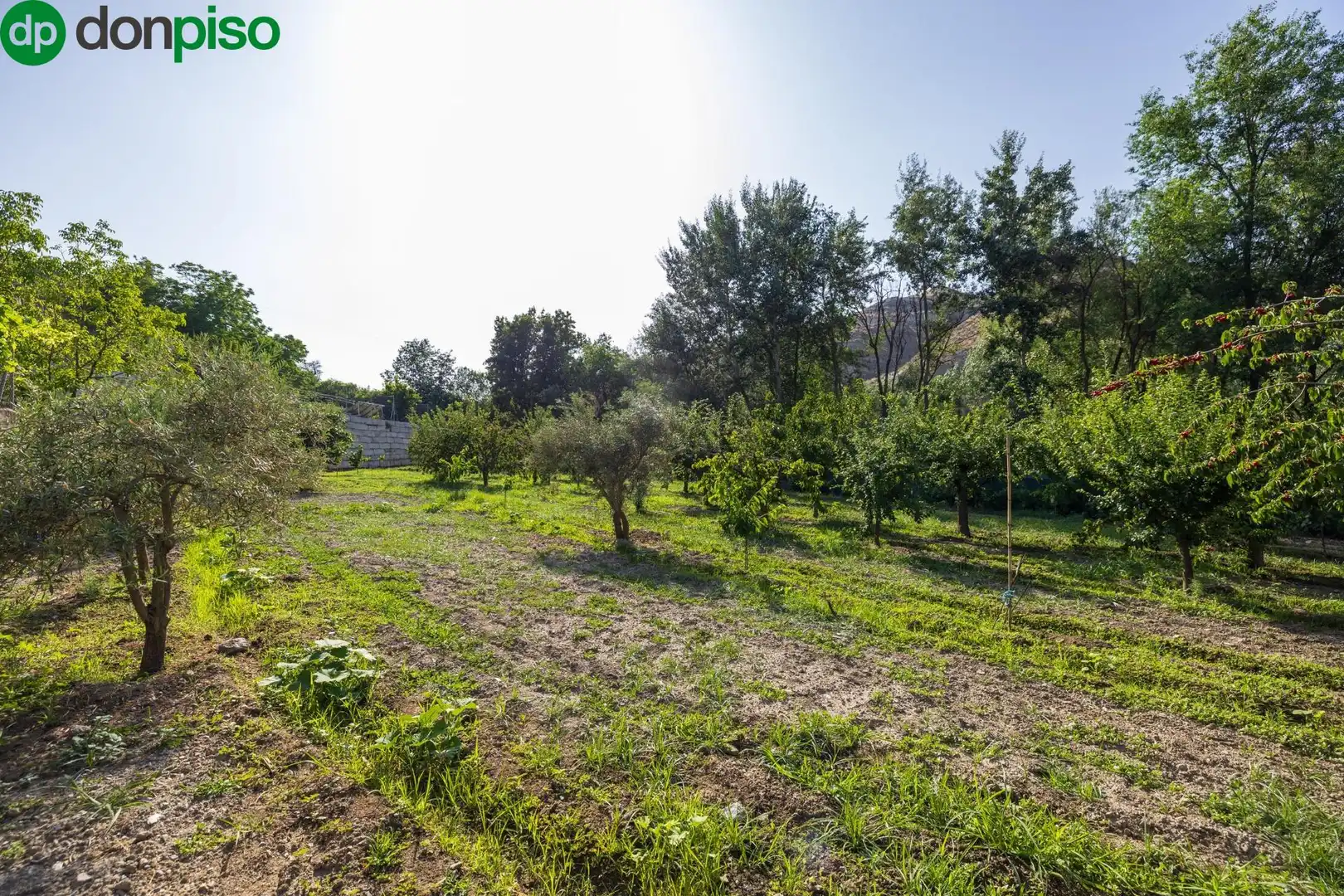 Terreno en venta en Paseo Paseo Duquesa, Pinos Genil