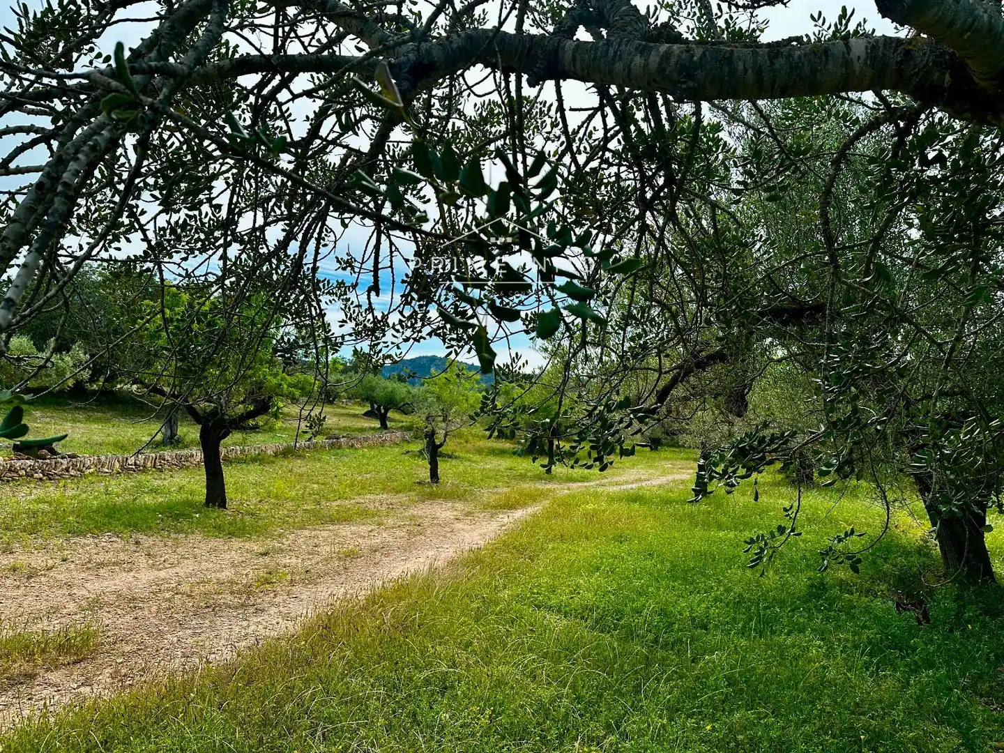 Terreno rústico en venta en Tivissa, imagen 59