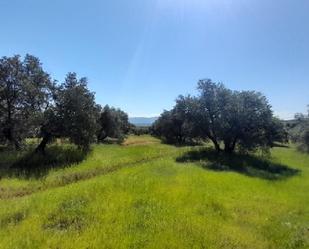 Residencial en venda a Sorihuela del Guadalimar