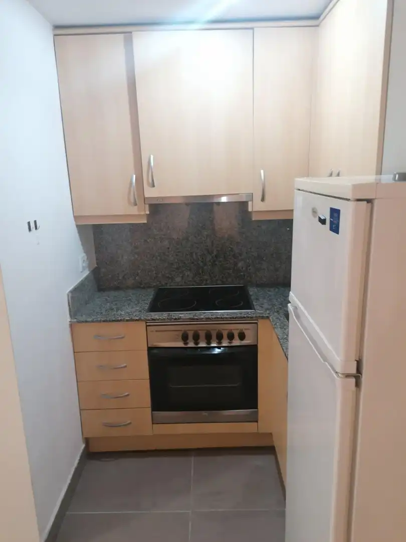 Cocina de Apartamento en venta en Lleida