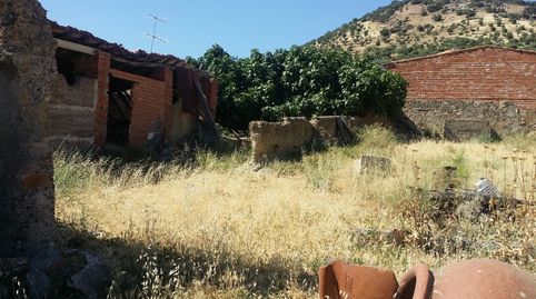 SOLAR URBANO DE 1577 M2 EN EL HOYO BELMEZ, imatge 4